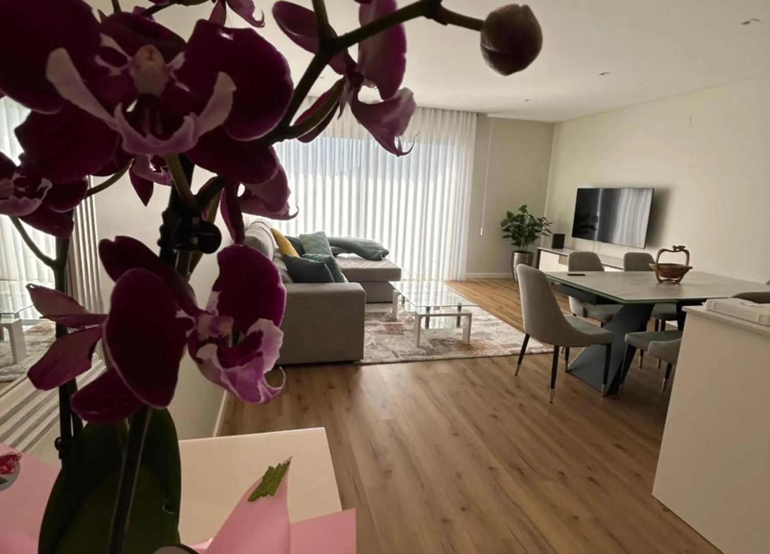 Appartamento Saraiva Hills Ocean View Penthouse Câmara de Lobos 0*,